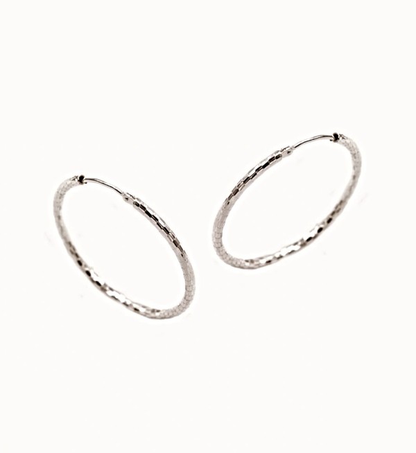 Paparazzi Accessories - Embellished Edge - Silver Earrings